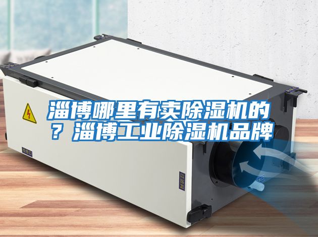 淄博哪里有賣除濕機的?淄博工業除濕機品牌