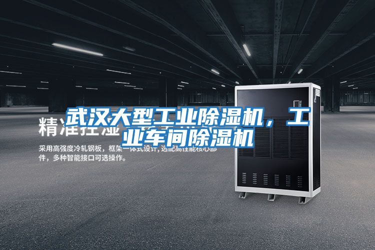 武漢大型工業除濕機，工業車間除濕機