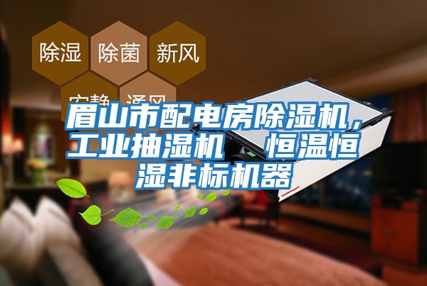 眉山市配電房除濕機，工業抽濕機  恒溫恒濕非標機器