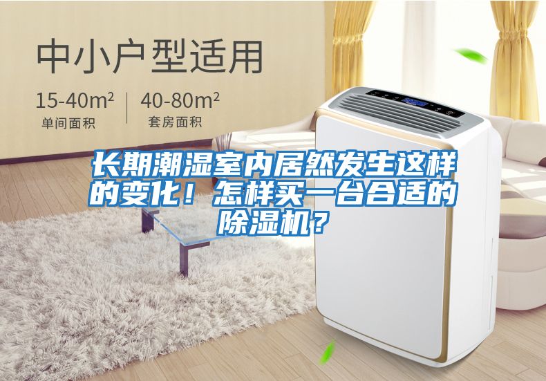 長期潮濕室內居然發生這樣的變化！怎樣買一臺合適的除濕機？