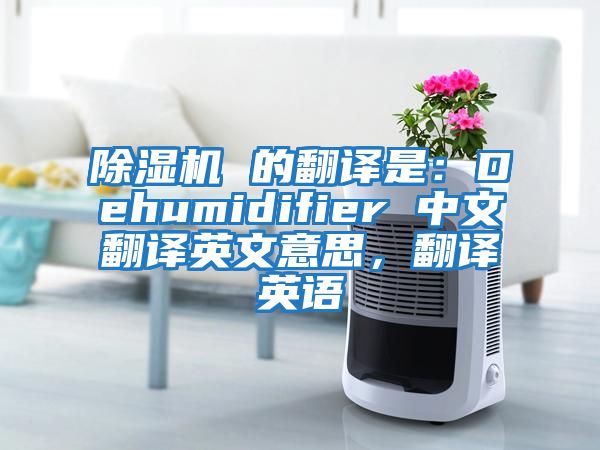 除濕機 的翻譯是：Dehumidifier 中文翻譯英文意思，翻譯英語