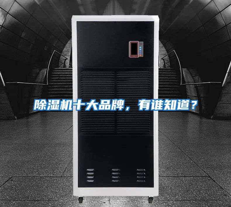 除濕機十大品牌，有誰知道？