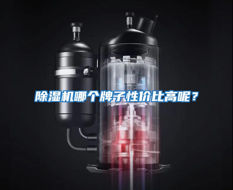 除濕機哪個牌子性價比高呢？