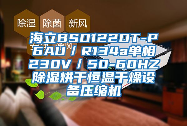 海立BSD122DT-P6AU/R134a單相230V/50-60HZ除濕烘干恒溫干燥設(shè)備壓縮機(jī)