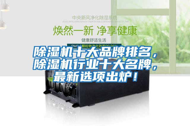 除濕機十大品牌排名，除濕機行業十大名牌，最新選項出爐！