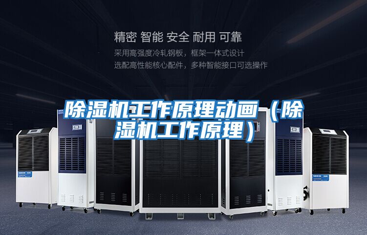 除濕機(jī)工作原理動(dòng)畫(除濕機(jī)工作原理)