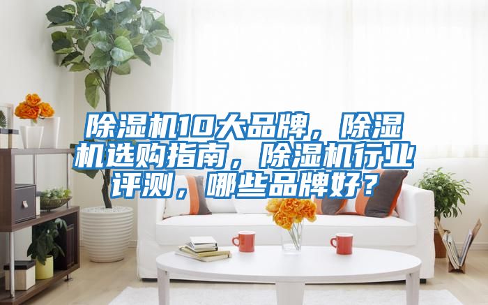 除濕機10大品牌，除濕機選購指南，除濕機行業評測，哪些品牌好？