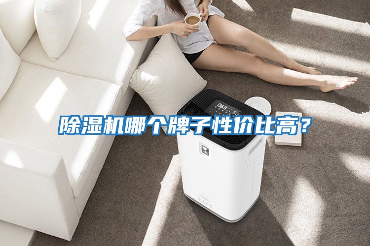 除濕機哪個牌子性價比高？