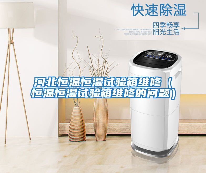 河北恒溫恒濕試驗箱維修(恒溫恒濕試驗箱維修的問題)