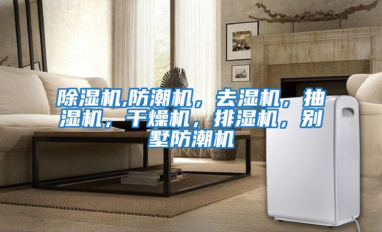 除濕機(jī),防潮機(jī),去濕機(jī),抽濕機(jī),干燥機(jī),排濕機(jī),別墅防潮機(jī)