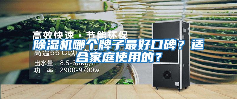 除濕機哪個牌子最好口碑？適合家庭使用的？