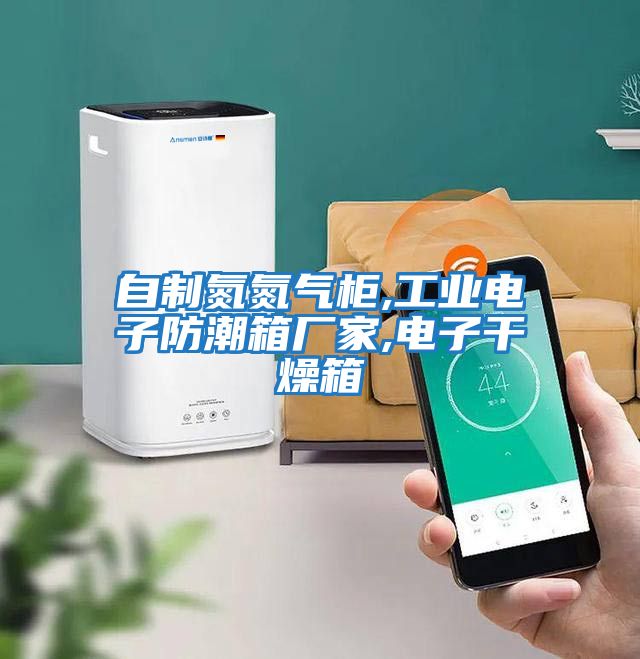 自制氮氮氣柜,工業電子防潮箱廠家,電子干燥箱