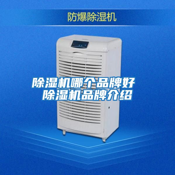 除濕機(jī)哪個品牌好 除濕機(jī)品牌介紹