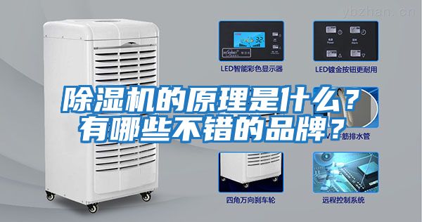 除濕機的原理是什么?有哪些不錯的品牌?
