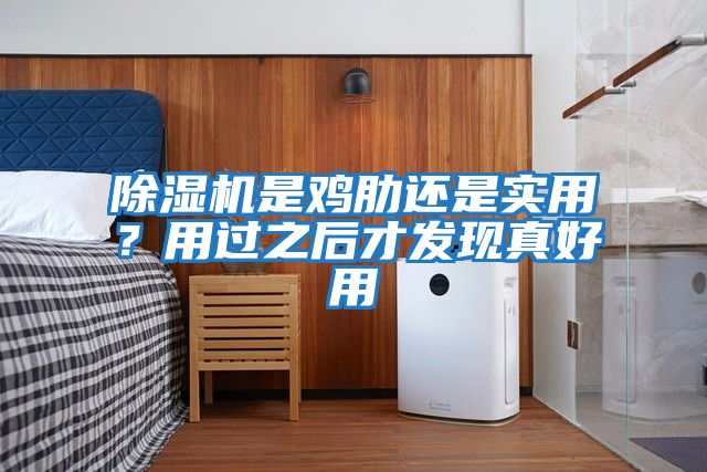 除濕機(jī)是雞肋還是實(shí)用?用過之后才發(fā)現(xiàn)真好用