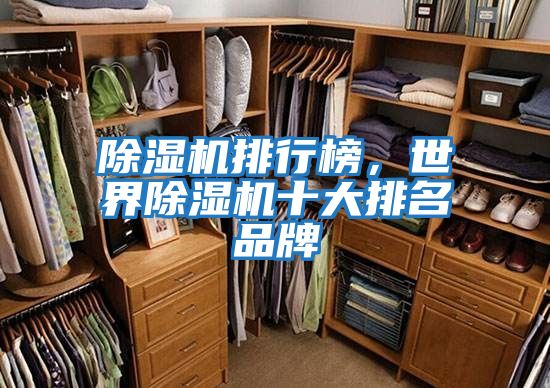 除濕機排行榜，世界除濕機十大排名品牌