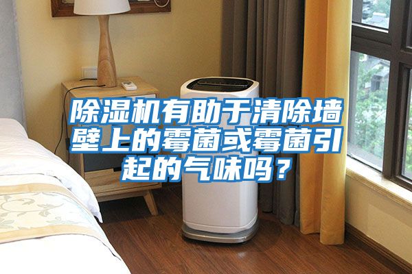 除濕機有助于清除墻壁上的霉菌或霉菌引起的氣味嗎?