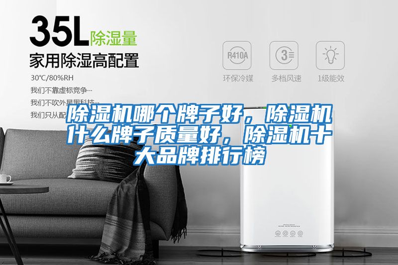 除濕機哪個牌子好，除濕機什么牌子質量好，除濕機十大品牌排行榜
