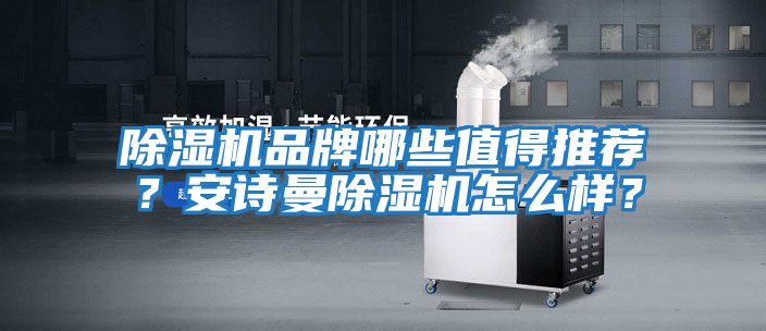 除濕機品牌哪些值得推薦？安詩曼除濕機怎么樣？