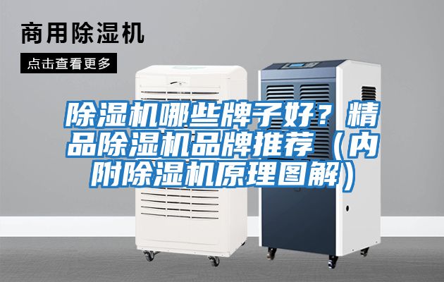 除濕機哪些牌子好？精品除濕機品牌推薦（內附除濕機原理圖解）