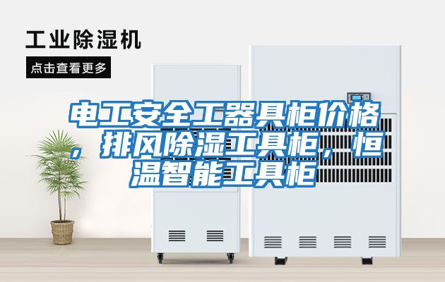 電工安全工器具柜價格,排風(fēng)除濕工具柜,恒溫智能工具柜
