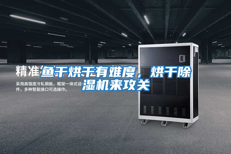 魚干烘干有難度,烘干除濕機來攻關