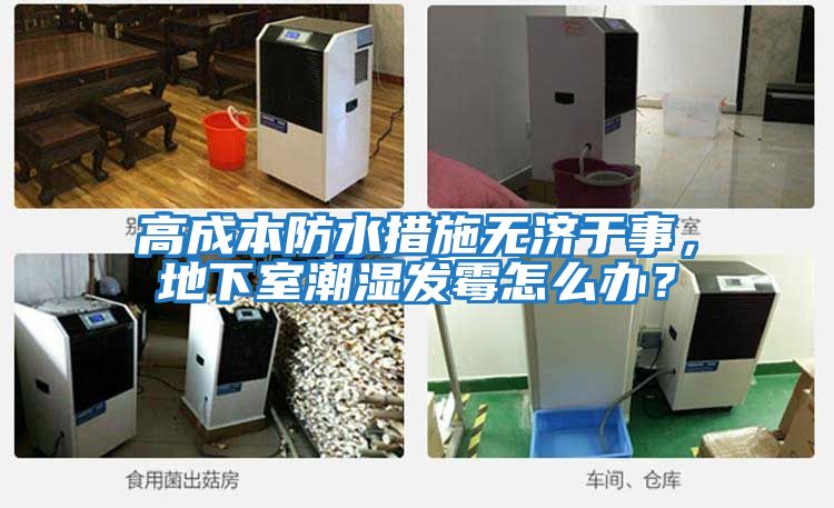 高成本防水措施無濟于事,地下室潮濕發霉怎么辦?