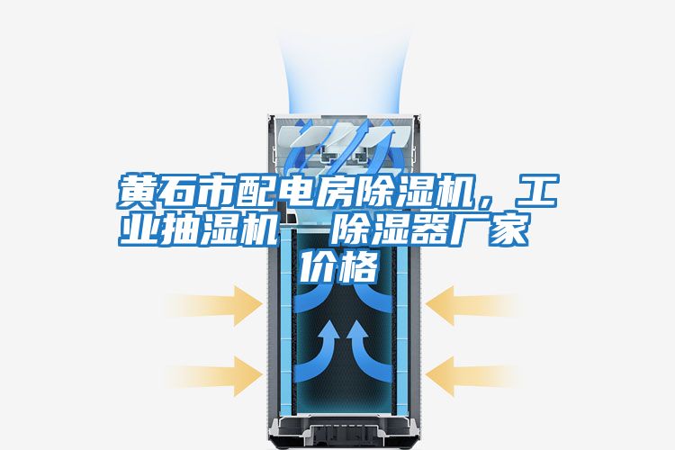黃石市配電房除濕機,工業(yè)抽濕機 除濕器廠家 價格