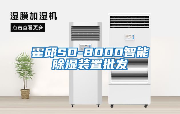 霍邱SD-8000智能除濕裝置批發