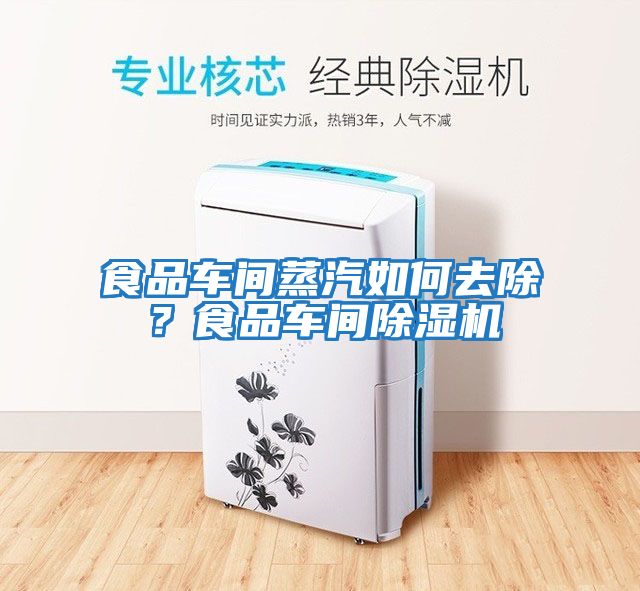 食品車間蒸汽如何去除?食品車間除濕機