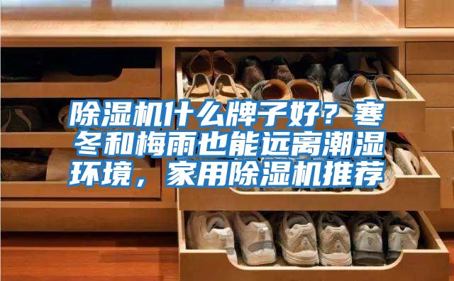 除濕機(jī)什么牌子好？寒冬和梅雨也能遠(yuǎn)離潮濕環(huán)境，家用除濕機(jī)推薦