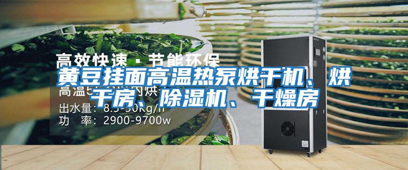 黃豆掛面高溫熱泵烘干機、烘干房、除濕機、干燥房