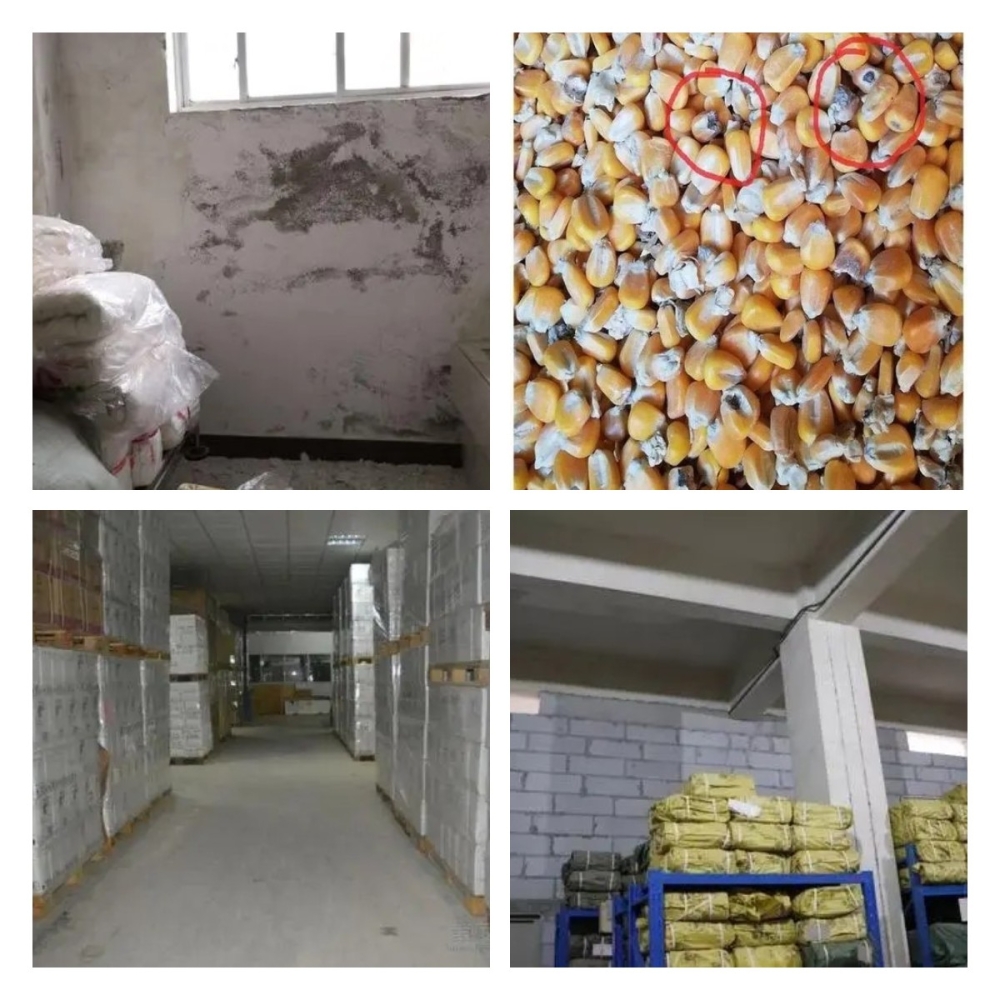 稿定設(shè)計(jì)導(dǎo)出-20211214-141923 稿定設(shè)計(jì)導(dǎo)出-20211214-141923